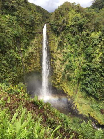 ハワイ島　アカカ滝